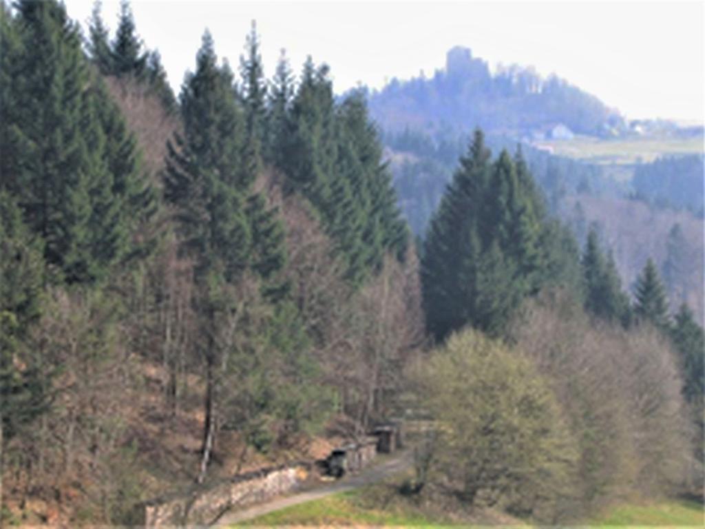Ferienwohnung Burgblick Seelbach  Exterior photo